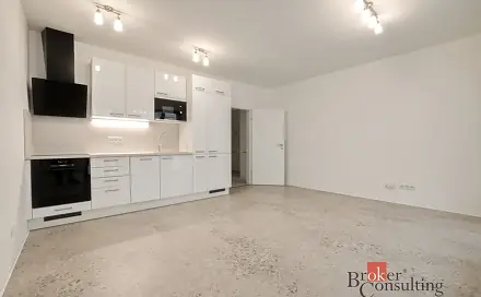 Pronájem bytu 1+kk 34 m², Železná, Plzeň - Jižní Předměstí