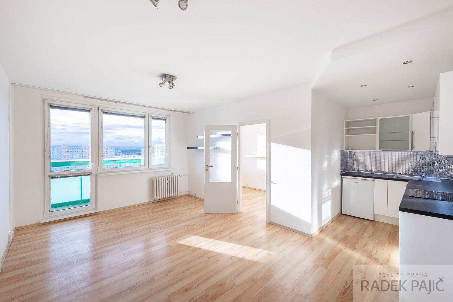 Pronájem bytu 1+1 48 m²