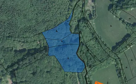 Prodej lesa 2 094 m², Štítná nad Vláří-Popov, okres Zlín