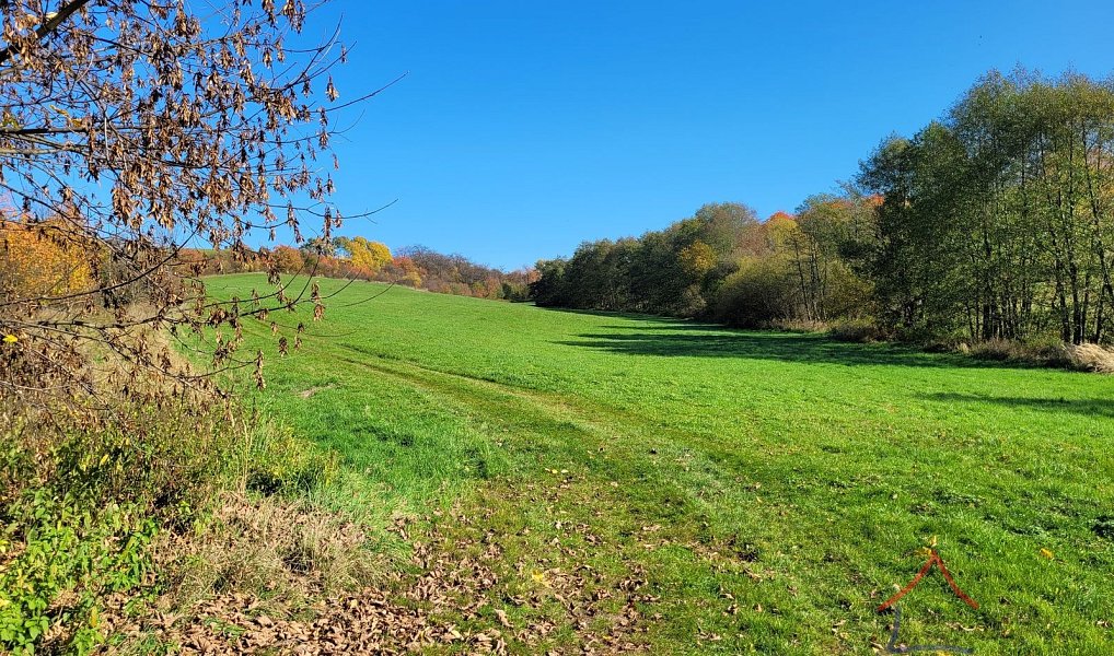 Prodej louky 52 559 m², Broumov – náhled fotky 2