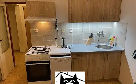 Pronájem bytu 1+1 44 m²