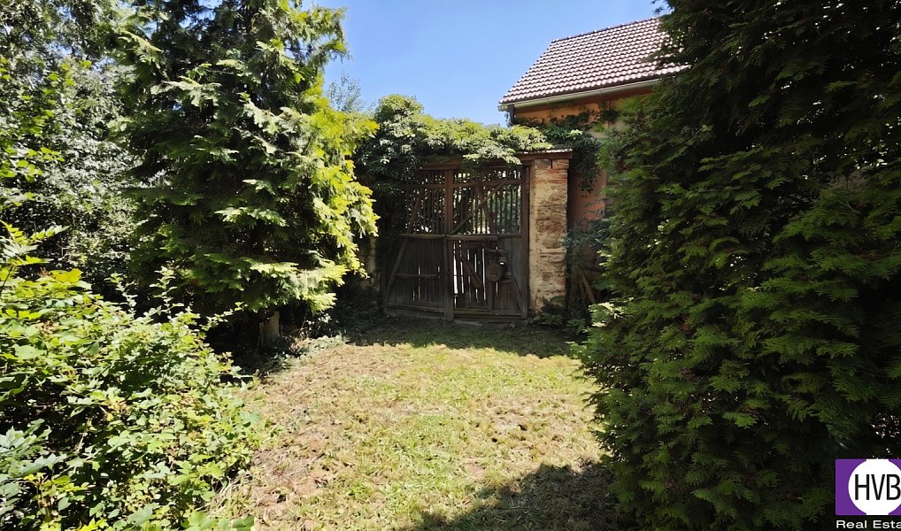 Prodej domu 105 m² s pozemkem 3 600 m², Suchdol – náhled fotky 12