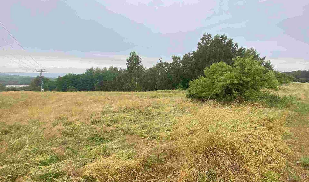 Prodej pole 49 321 m², Nové Sedlo – náhled fotky 2