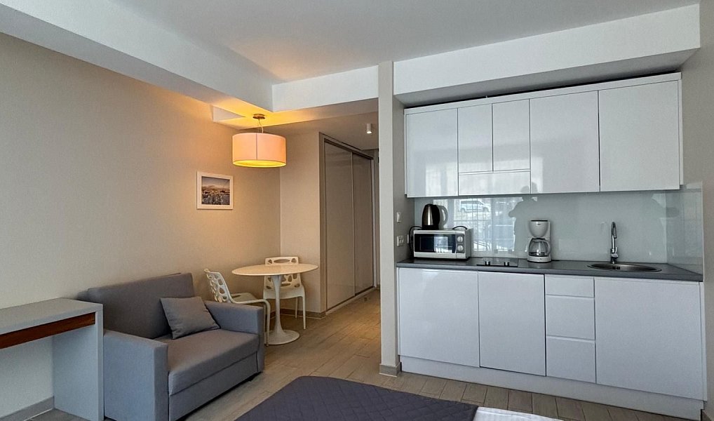 Prodej bytu 1+kk 27 m², Dolní Morava – náhled fotky 4