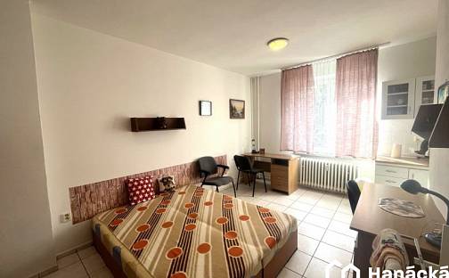 Pronájem bytu 1+kk 25 m², Dobnerova, Olomouc - Nová Ulice