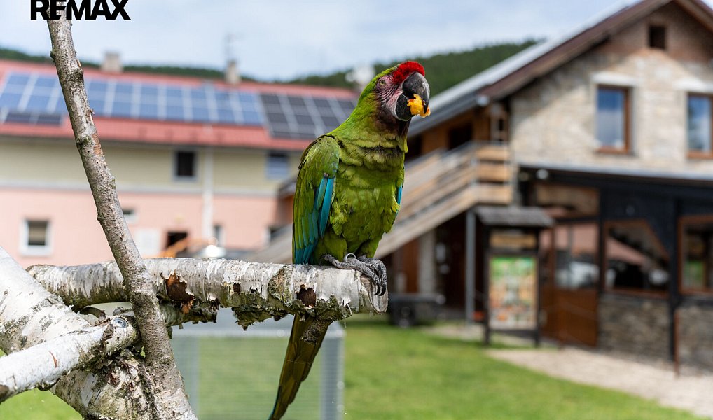 Prodej zemědělského objektu 871 m², Lipová-lázně – náhled fotky 4
