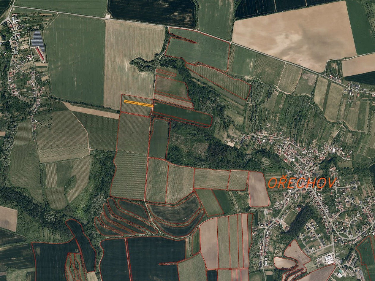 Fotka 5 z 7