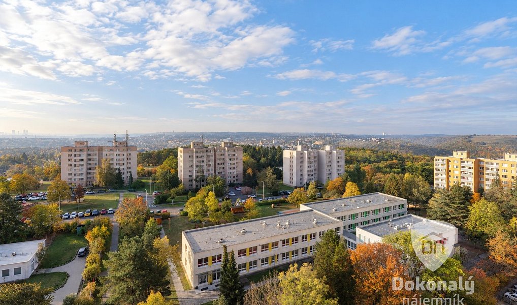 Pronájem bytu 1+1 30 m², Praha – náhled fotky 10