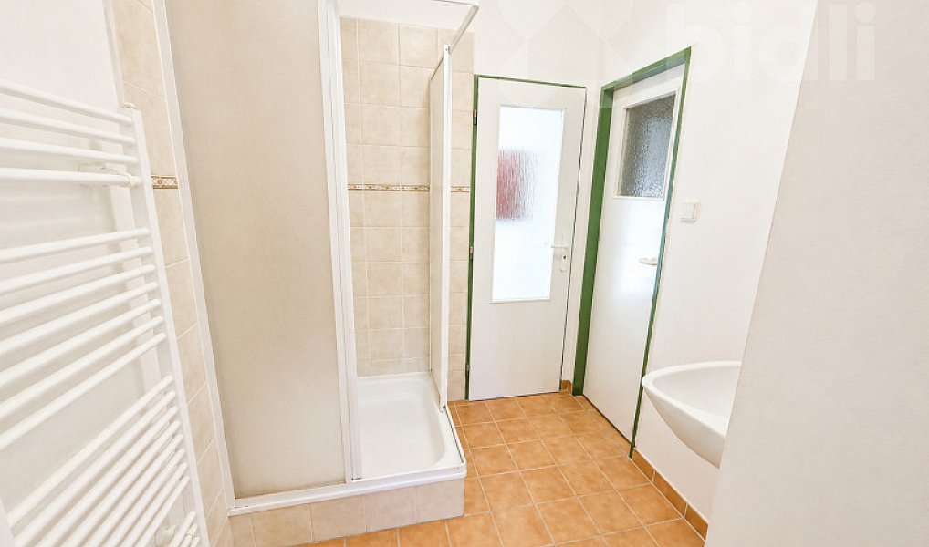 Pronájem bytu 5+kk 160 m², Hostinné – náhled fotky 9