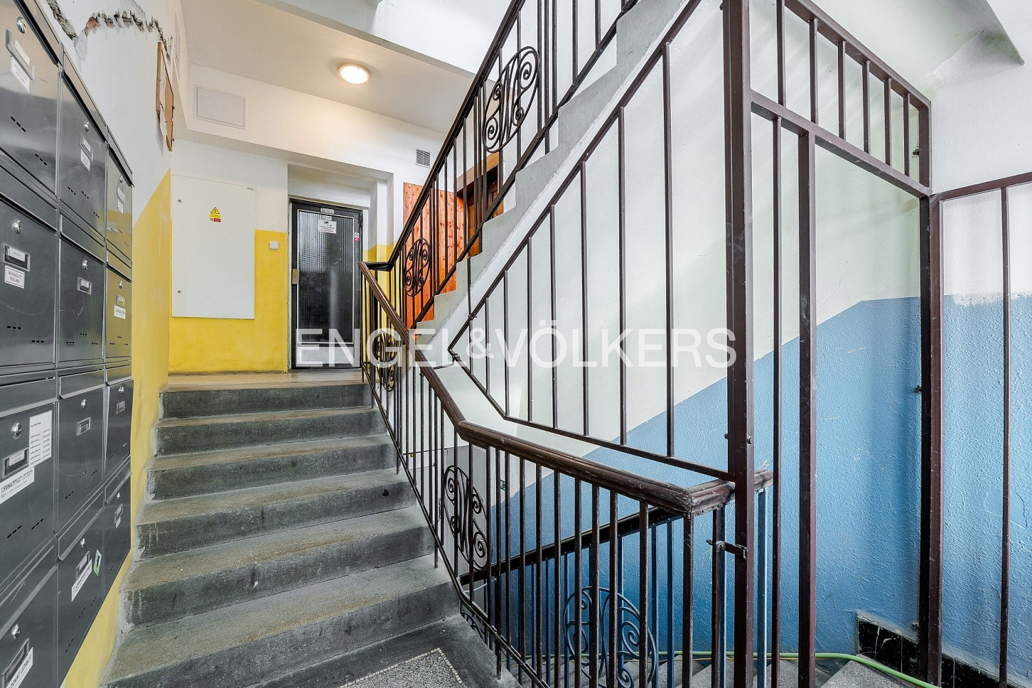 Fotka 7 z 8