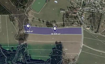 Prodej louky 18 923 m², Lodhéřov, okres Jindřichův Hradec