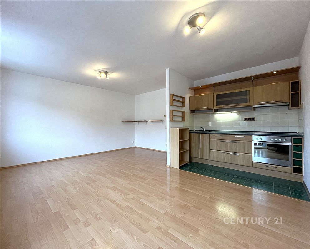 Pronájem bytu 1+kk 49 m² — photo 4