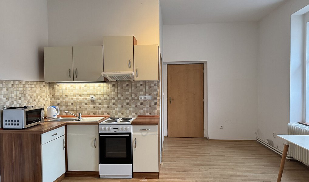 Pronájem bytu 1+kk 25 m², Krabčice – náhled fotky 2