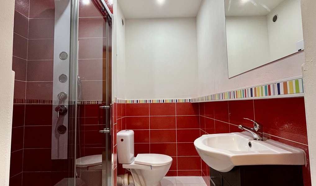 Pronájem bytu 1+1 31 m², Ostrava – náhled fotky 13