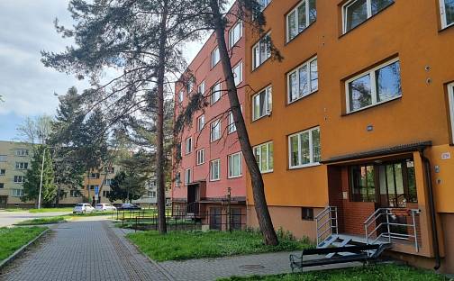 Pronájem bytu 1+1 41 m², Petra Křičky, Ostrava - Moravská Ostrava