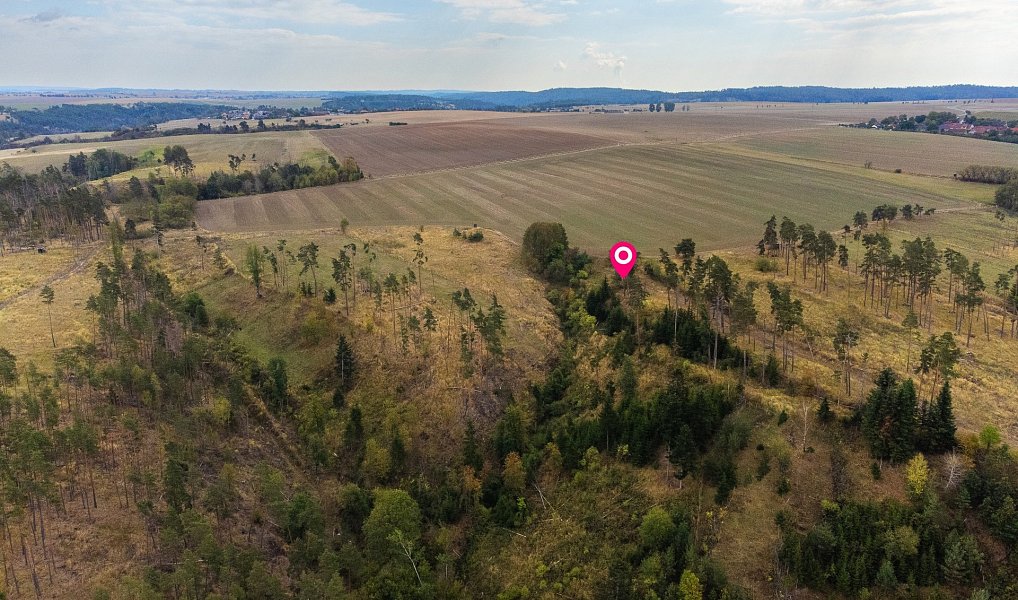 Prodej lesa 15 246 m², Vladislav – náhled fotky 6