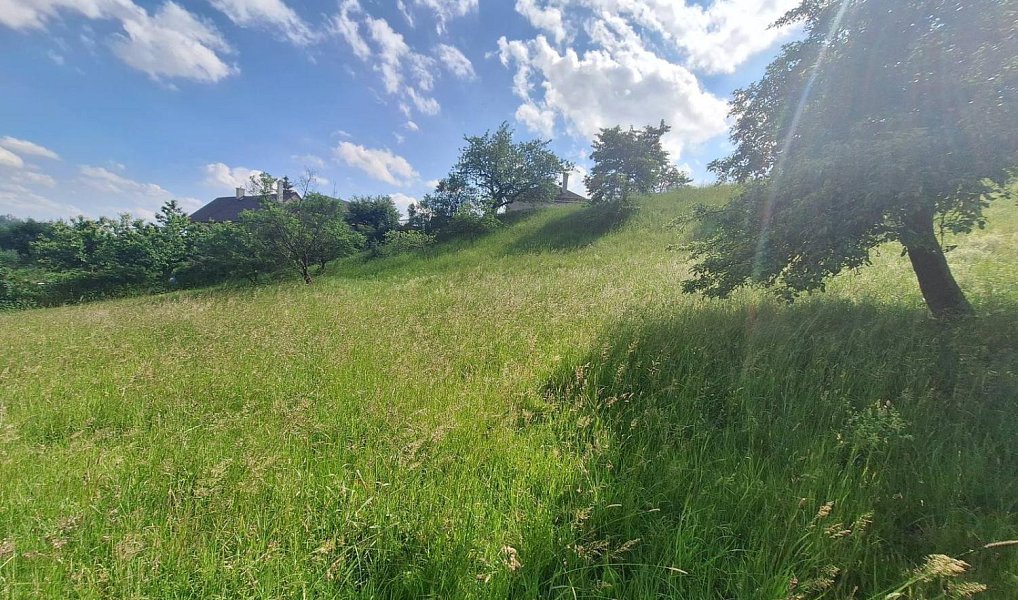 Prodej stavebního pozemku 2 318 m², Malé Svatoňovice – náhled fotky 7