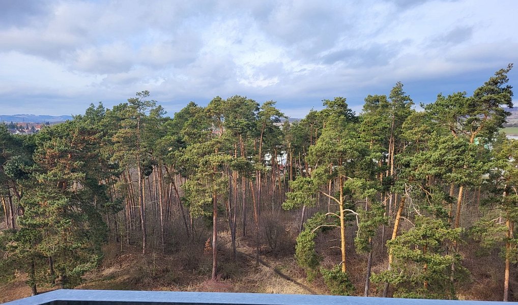 Pronájem bytu 3+1 73 m², Třebíč – náhled fotky 19