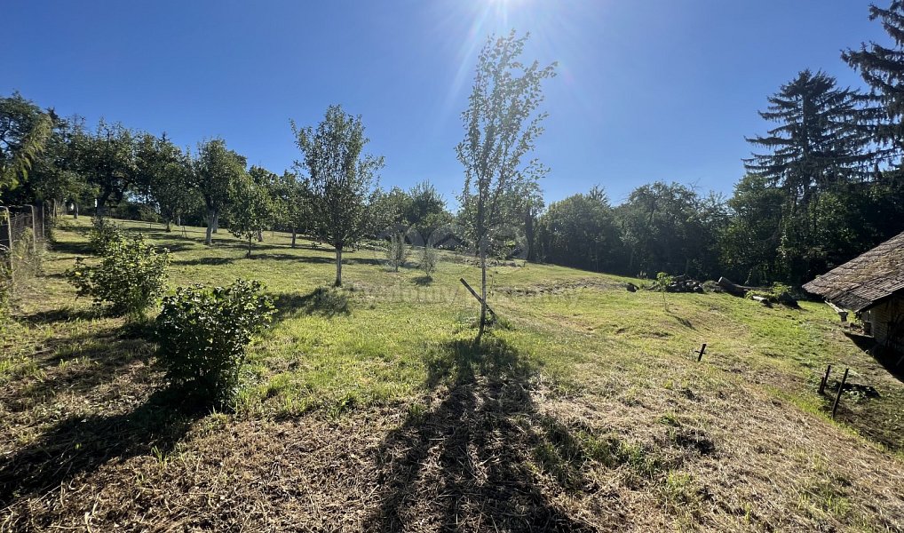 Prodej domu 333 m² s pozemkem 3 207 m², Roštín – náhled fotky 8