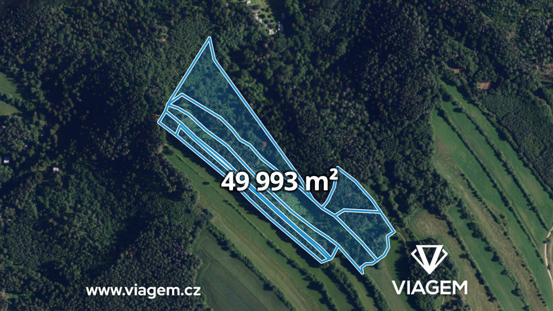 Prodej lesa 25 162 m²