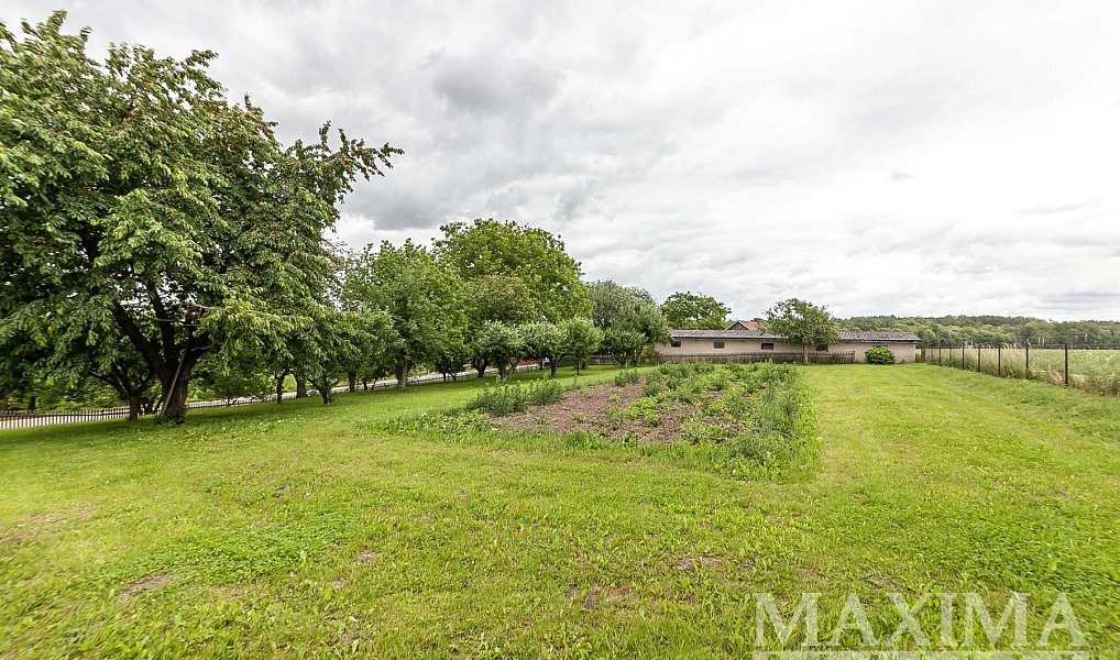 Prodej domu 196 m² s pozemkem 3 601 m², Běchary – náhled fotky 25