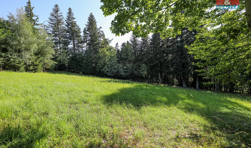 Prodej lesa 15 707 m², Petrovice u Sušice – náhled fotky 8