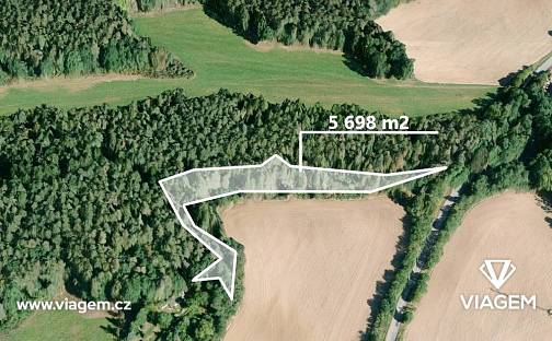 Prodej lesa 2 849 m², Čím, okres Příbram