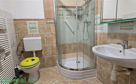 Pronájem bytu 1+1 37 m²