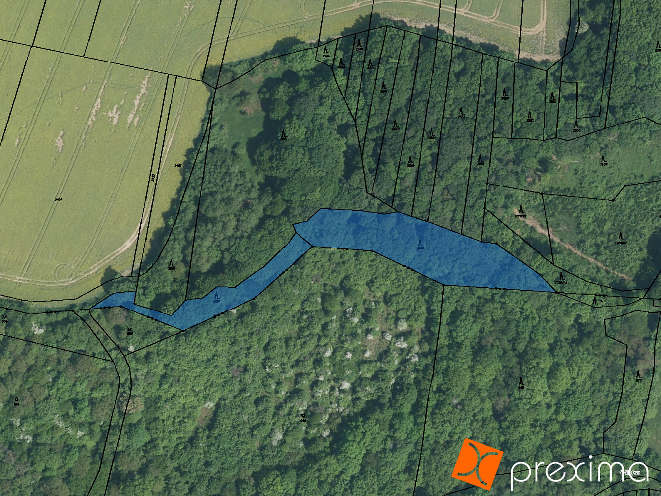 Prodej lesa 69 m²