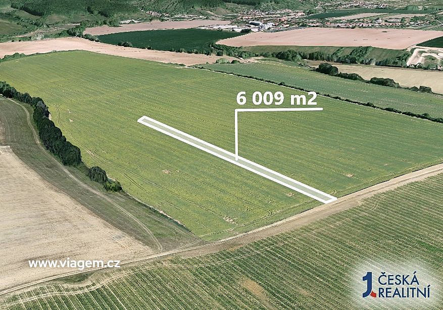 Pole 6 009 m², Podíl 25 % o výměře 1 502 m² – pohled 2