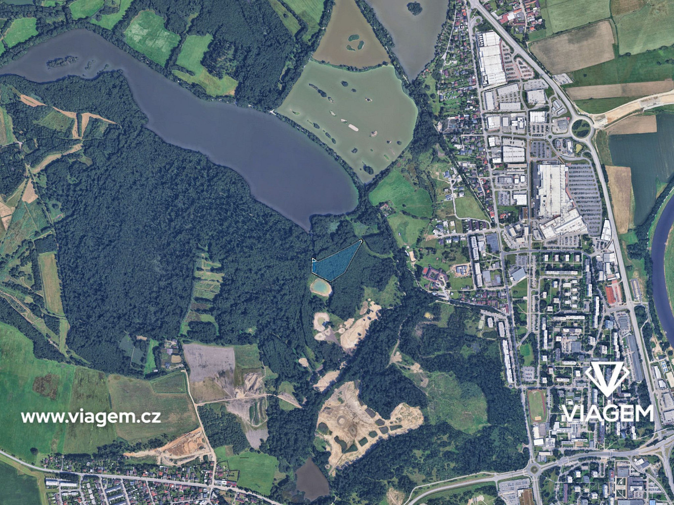 Prodej lesa 1 879 m² – fotografie 3