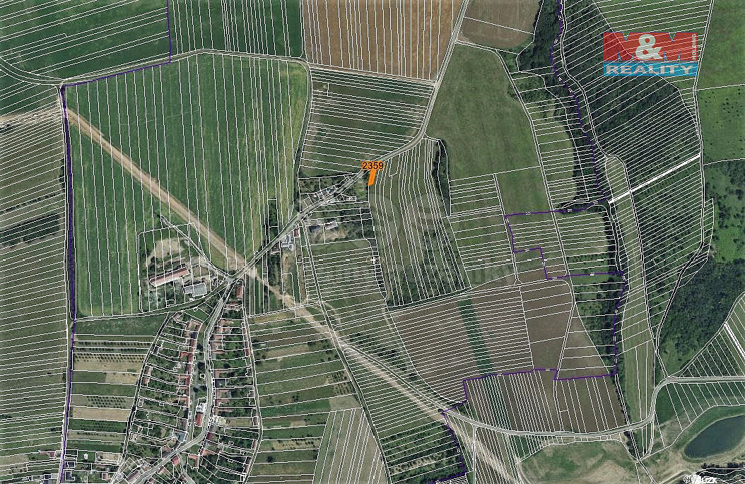 Prodej louky 180 m² — photo 4