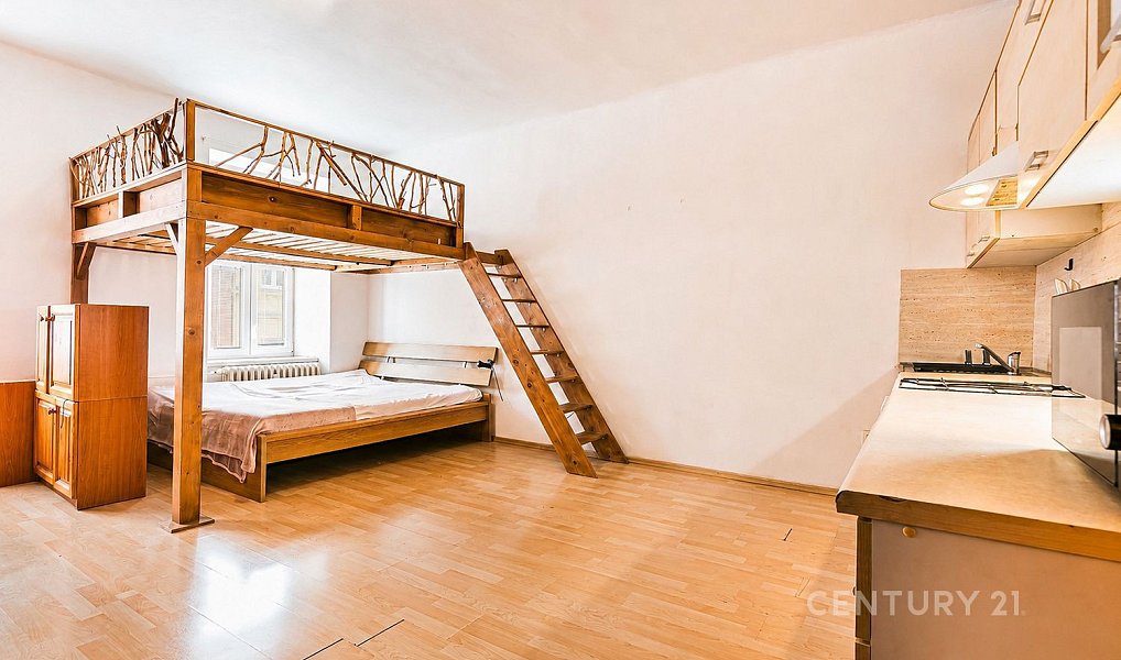 Prodej bytu 1+1 45 m², Brno – náhled fotky 7