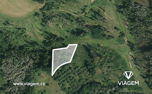 Prodej lesa 2 560 m², Obora, okres Blansko