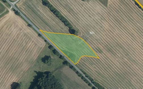 Prodej louky 9 806 m², Zborov, okres Šumperk