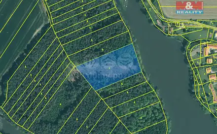 Prodej lesa 11 302 m², Borovany, okres Písek