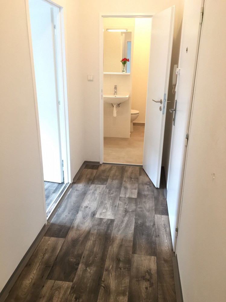 Pronájem bytu 2+1 44 m² – fotografie 3