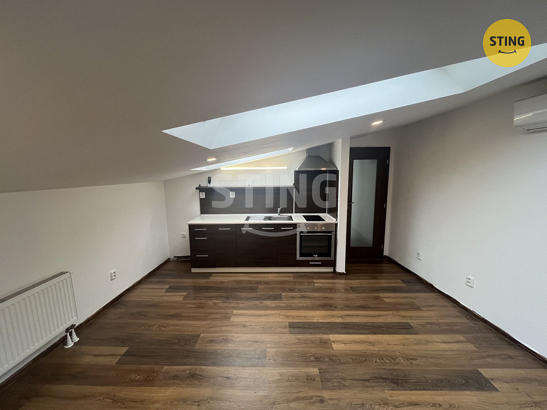 Pronájem bytu 1+kk 47 m² – fotografie 4