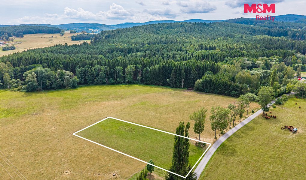 Prodej stavebního pozemku 2 388 m², Stachy – náhled fotky 2