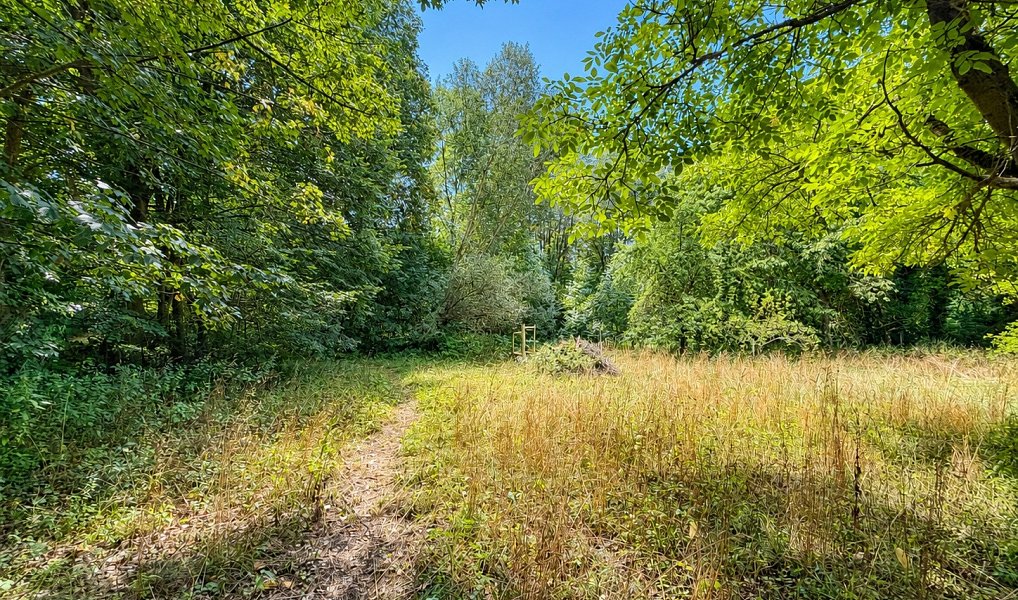Prodej domu 75 m² s pozemkem 3 420 m², Koberovice – náhled fotky 23