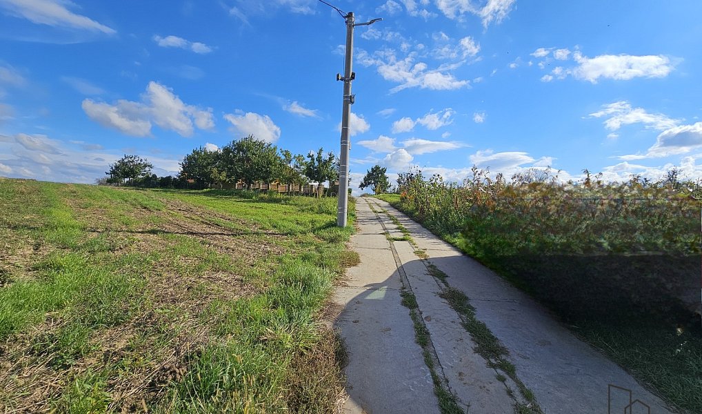 Prodej stavebního pozemku 2 691 m², Skoronice – náhled fotky 6