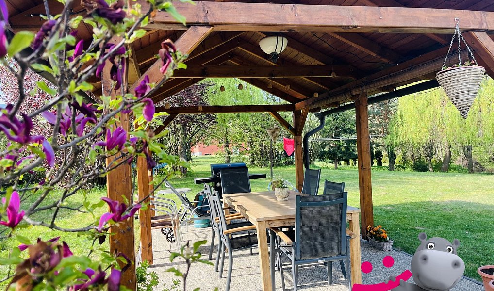 Prodej domu 446 m² s pozemkem 4 955 m², Černá Voda – náhled fotky 2