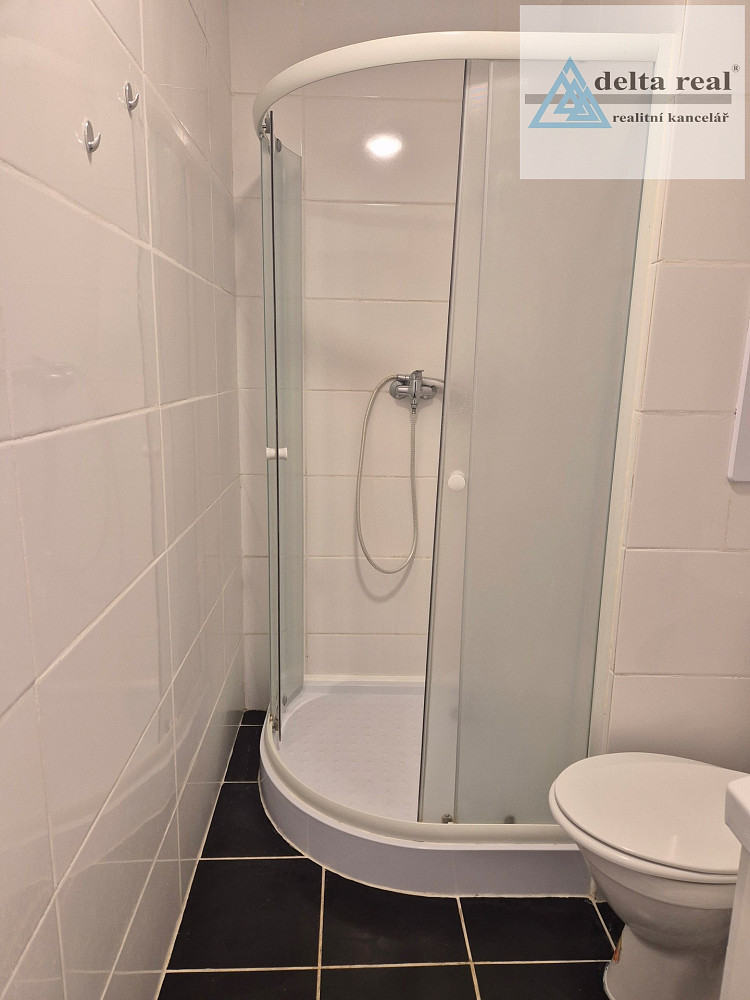 Pronájem bytu 1+kk 28 m² – fotografie 3