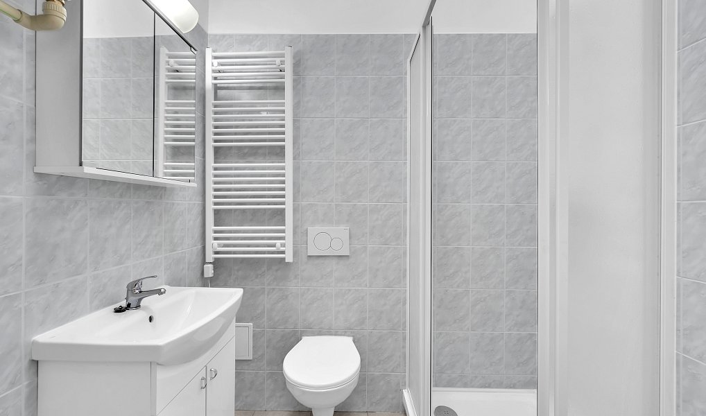 Prodej vily 375 m² s pozemkem 258 m², Vamberk – náhled fotky 8
