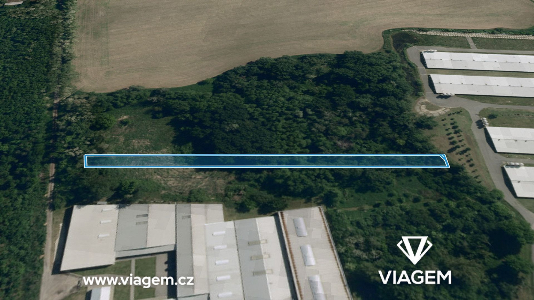 Prodej pole 1 174 m² – fotografie 2