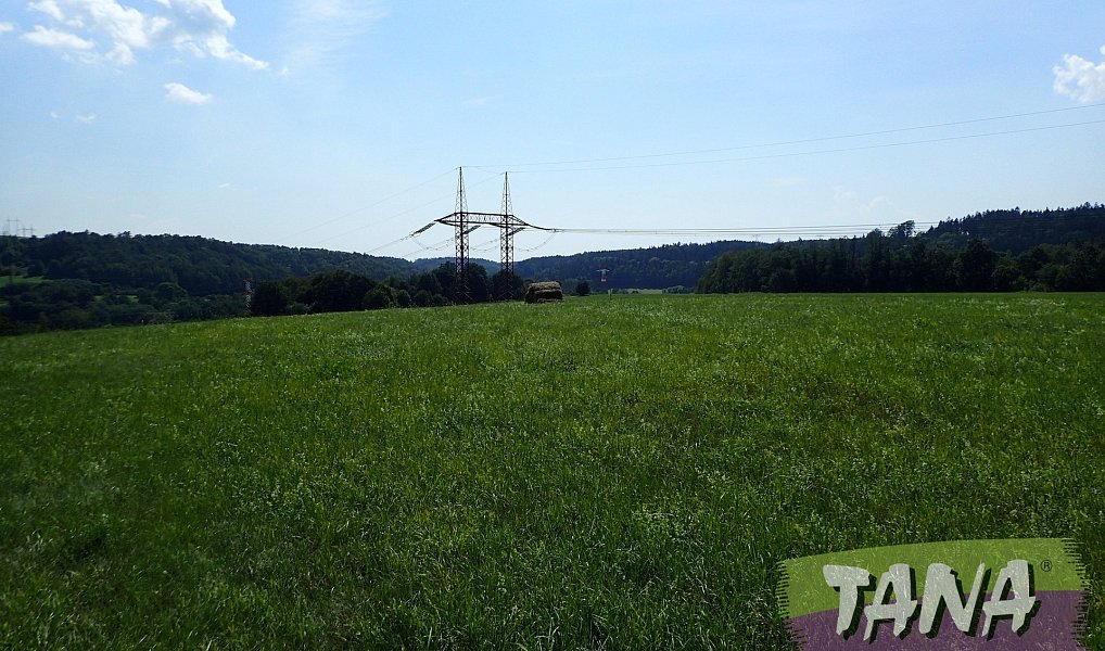 Prodej louky 49 051 m², Hodkovice nad Mohelkou – náhled fotky 4