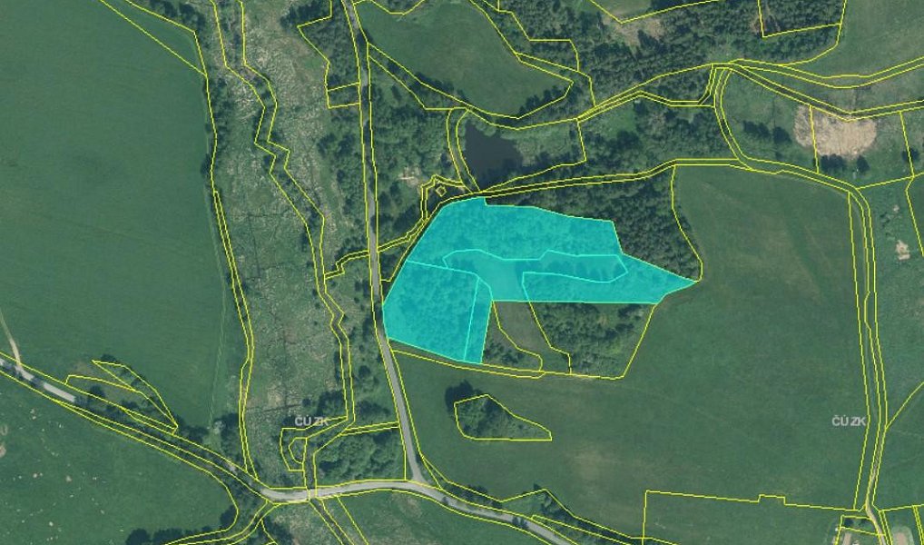 Prodej louky 22 911 m², Hošťka – fotka 1 z 5