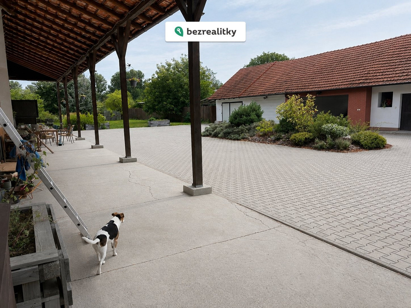 Prodej domu 220 m² s pozemkem 8 800 m² – fotografie 4