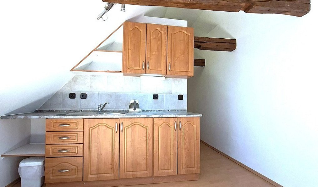 Pronájem bytu 1+kk 48 m², Benešov – fotka 1 z 13
