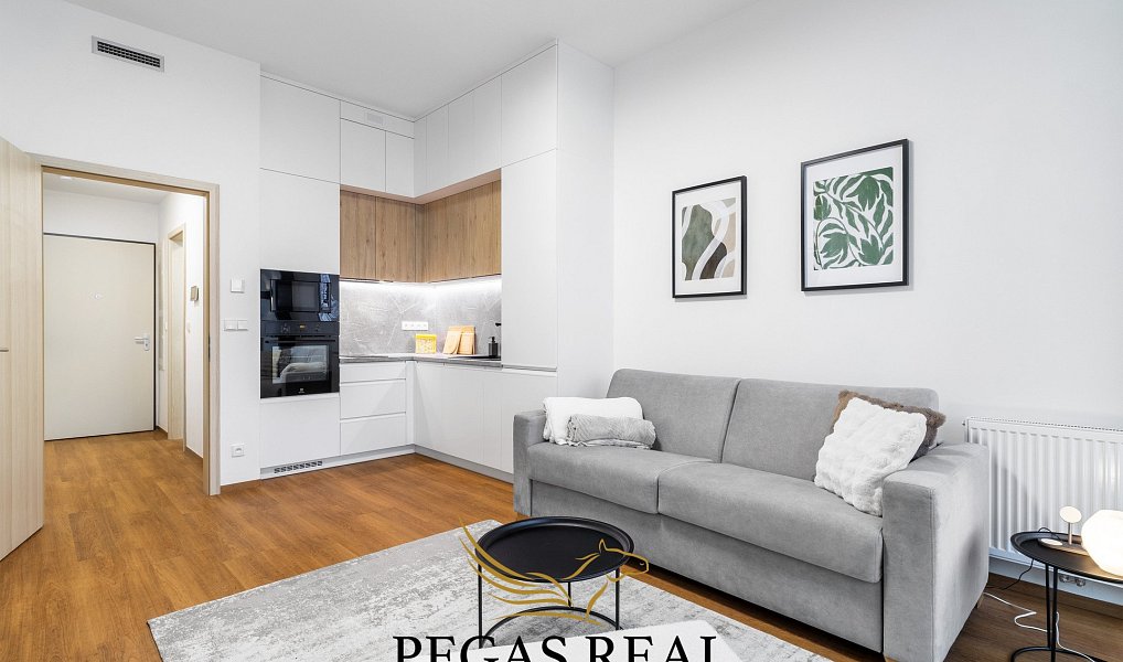 Prodej bytu 1+kk, 33 m², Trnitá - Brno-město, Brno